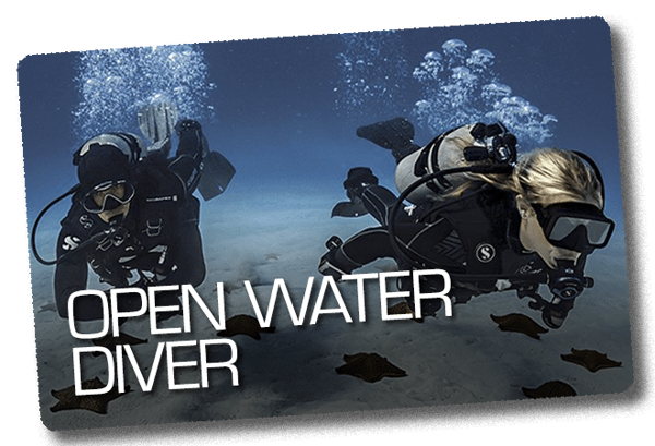 Open Water Diver Course Complete Package for 2022