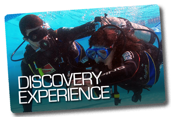 Discover Scuba