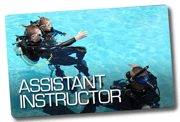 Assistant Instructor