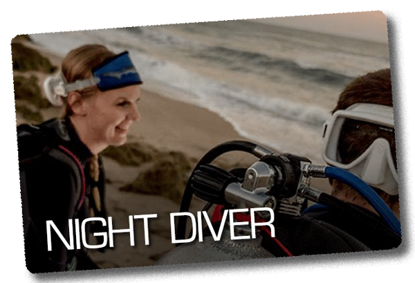 Night Diver