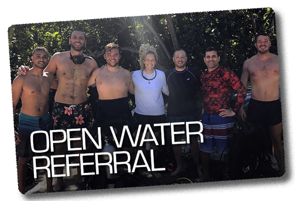 Open water scuba diving course, Hamilton, Ontario (Class and Pool ONLY)