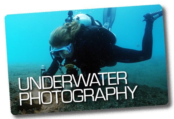 Underwater Photography