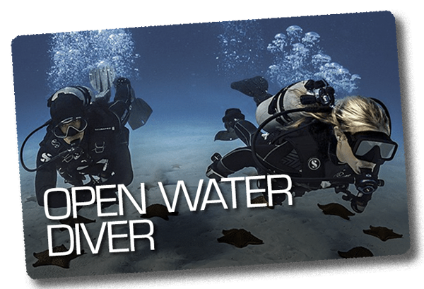 Open Water Diver Course Complete Package for 2026